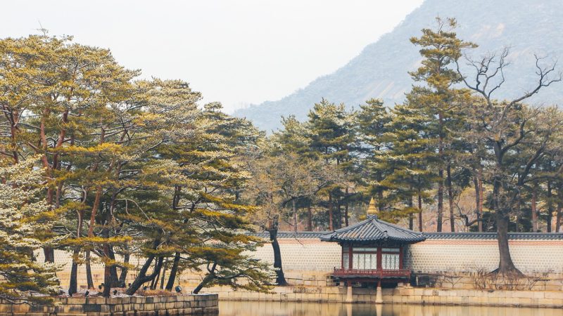 诡秘之主 笔趣阁 相关配图